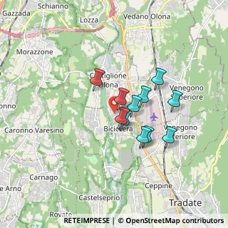 Mappa Via Arno, 21043 Castiglione Olona VA, Italia (1.25545)