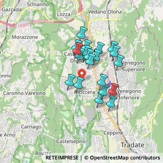 Mappa Via Arno, 21043 Castiglione Olona VA, Italia (1.3715)