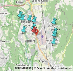 Mappa Via Alcide de Gasperi, 21040 Castiglione Olona VA, Italia (1.59455)