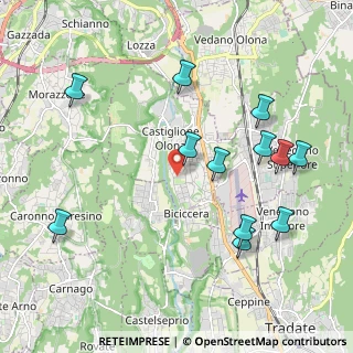 Mappa Via Francesco Petrarca, 21043 Castiglione Olona VA, Italia (2.22833)