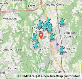 Mappa Via Francesco Petrarca, 21043 Castiglione Olona VA, Italia (1.19818)