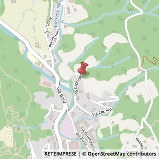 Mappa Via G. Caprini, 9, 24022 Alzano Lombardo, Bergamo (Lombardia)