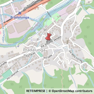 Mappa Via vittorio veneto 21, 24020 Pradalunga, Bergamo (Lombardia)