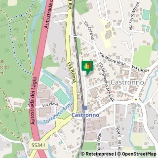 Mappa Via Stazione, , 21040 Castronno, Varese (Lombardia)