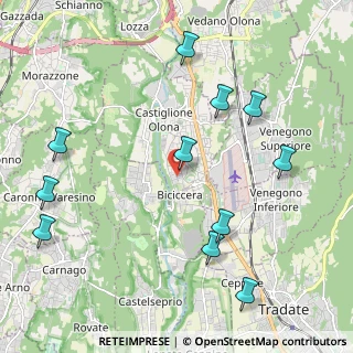 Mappa Via Po, 21043 Castiglione Olona VA, Italia (2.45545)