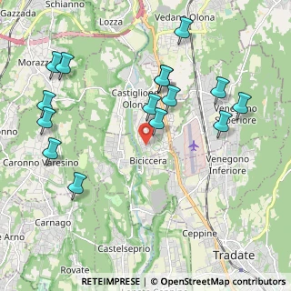 Mappa Via Po, 21043 Castiglione Olona VA, Italia (2.25933)