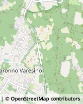 Argenteria - Lavorazione Varese,21100Varese