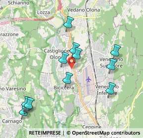 Mappa Via Cortina D'Ampezzo, 21043 Castiglione Olona VA, Italia (2.13833)