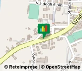 Ceramiche Artistiche,36061Vicenza