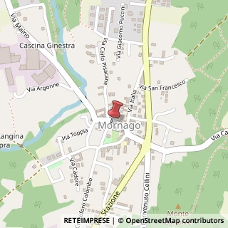 Mappa Via A. Sciesa, 5, 21020 Mornago, Varese (Lombardia)