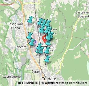 Mappa Via Campo Canalino, 21040 Venegono Inferiore VA, Italia (1.05)