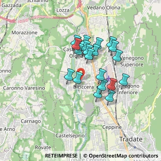 Mappa Via Tevere, 21043 Castiglione Olona VA, Italia (1.447)
