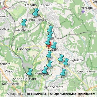 Mappa Via Alessandro Manzoni, 22063 Cantù CO, Italia (1.814)