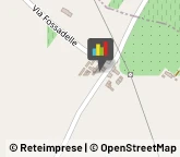 Frutta e Verdura - Dettaglio,31047Treviso