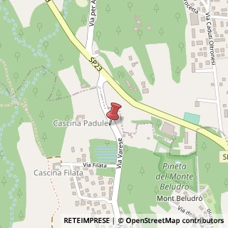 Mappa Via Varese, 37, 22070 Appiano Gentile, Como (Lombardia)