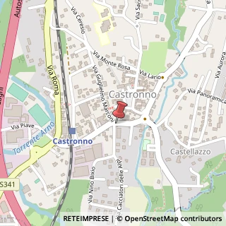 Mappa Via Camillo Benso Conte di Cavour, 30, 21040 Castronno, Varese (Lombardia)