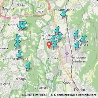 Mappa Via Giovanni Boccaccio, 21043 Castiglione Olona VA, Italia (2.134)