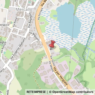 Mappa Via Torino, 155, 21020 Mercallo, Varese (Lombardia)