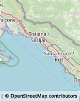 Spedizioni Internazionali Muggia,34015Trieste