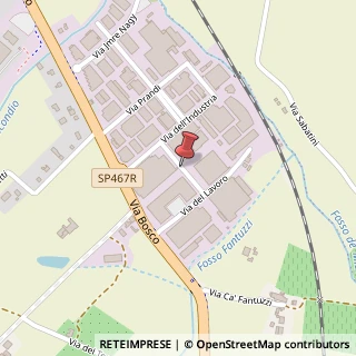Mappa Via degli Artigiani,  6, 42019 Scandiano, Reggio nell'Emilia (Emilia Romagna)