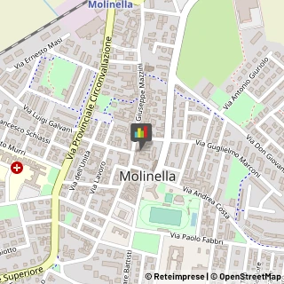 Articoli per Ortopedia Molinella,40062Bologna