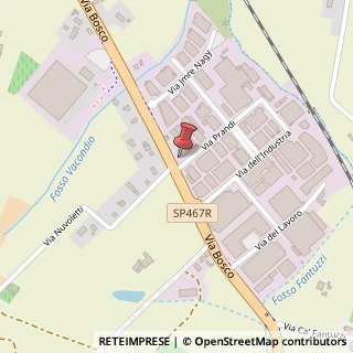 Mappa Via Prandi G., 1, 42019 Scandiano, Reggio nell'Emilia (Emilia Romagna)