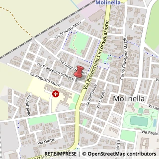 Mappa Via Francesco Schiassi, 5, 40062 Molinella, Bologna (Emilia Romagna)