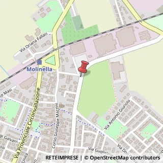 Mappa Via bentivogli 71, 40062 Molinella, Bologna (Emilia Romagna)