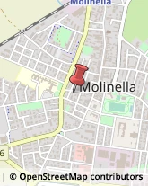 Via R. Valeriani, 25,40062Molinella