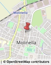 Via Giuseppe Mazzini, 178,40062Molinella