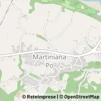 Map Martiniana Po