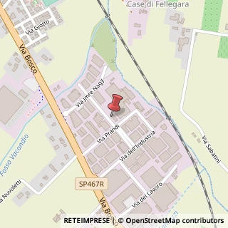 Mappa Via Prandi G., 9, 42019 Scandiano, Reggio nell'Emilia (Emilia Romagna)