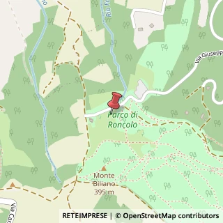 Mappa Via Giuseppe Verdi, 23, 42020 Quattro Castella, Reggio nell'Emilia (Emilia Romagna)