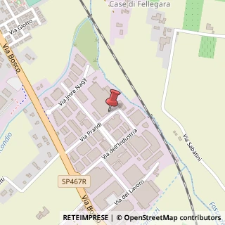Mappa Via Prandi G., 11, 42019 Scandiano, Reggio nell'Emilia (Emilia Romagna)
