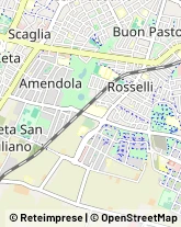 Pelletterie - Ingrosso e Produzione Modena,41100Modena