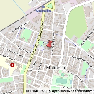 Mappa Via Mazzini, 227, 40062 Molinella, Bologna (Emilia Romagna)