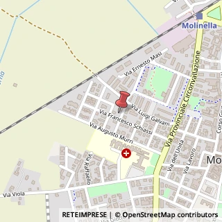Mappa Via Francesco Schiassi, 22, 40062 Molinella, Bologna (Emilia Romagna)