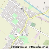 Карта Minerbio