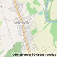 Map Terricciola