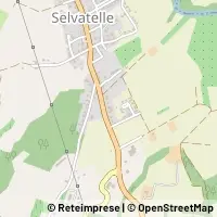 Kort Terricciola