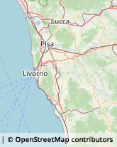 Otorinolaringoiatria - Medici Specialisti Livorno,57128Livorno