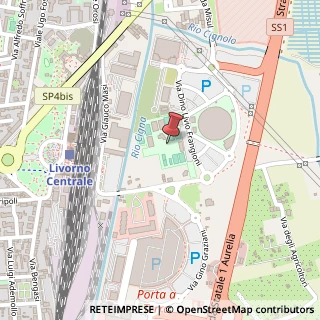 Mappa Via dei Condotti Vecchi, 29, 57121 Livorno, Livorno (Toscana)