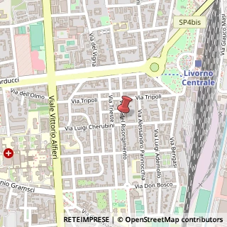 Mappa Viale del Risorgimento, 46, 57124 Livorno, Livorno (Toscana)
