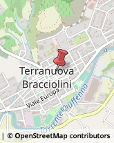 Via Roma, 65,52028Terranuova Bracciolini