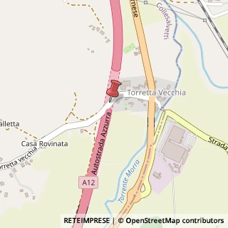 Mappa Via Torretta Vecchia, 22 B, 57014 Collesalvetti, Livorno (Toscana)