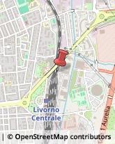 Via Glauco Masi, 7,57121Livorno