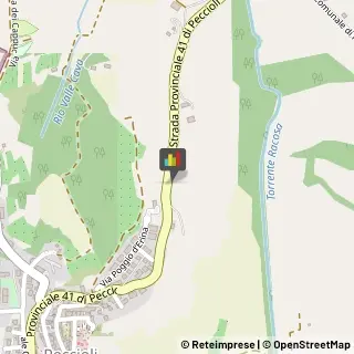 Imprese Edili Peccioli,56037Pisa