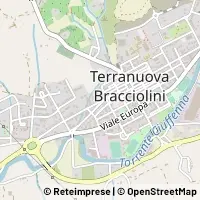 Peta Terranuova Bracciolini