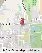 Via Lazio, 73,81022Casagiove