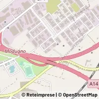 Peta Modugno
